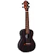 Ortega Rueb-CC Ebony Series Укулеле концерт.-0